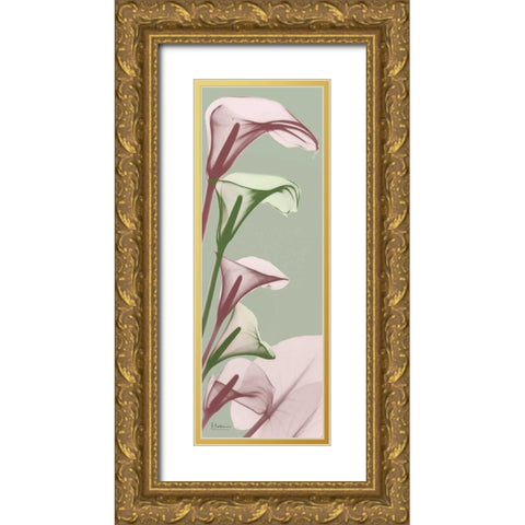Spring Time Calla Lilies Gold Ornate Wood Framed Art Print with Double Matting by Koetsier, Albert