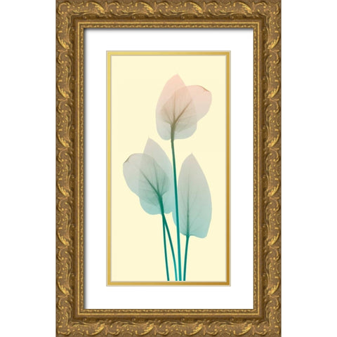 Blissful Bloom 1 Gold Ornate Wood Framed Art Print with Double Matting by Koetsier, Albert