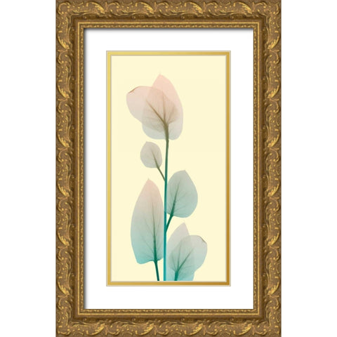 Blissful Bloom 2 Gold Ornate Wood Framed Art Print with Double Matting by Koetsier, Albert