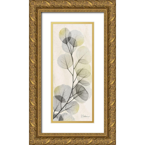 Eucalyptus Sunshine Gold Ornate Wood Framed Art Print with Double Matting by Koetsier, Albert