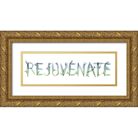 Rejuvenate Gold Ornate Wood Framed Art Print with Double Matting by Koetsier, Albert