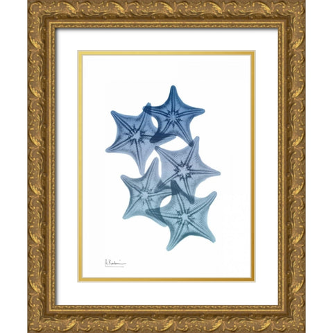 Tidal Starfish 1 Gold Ornate Wood Framed Art Print with Double Matting by Koetsier, Albert