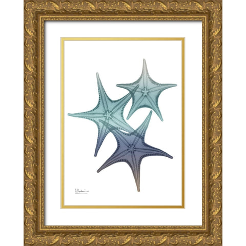 Starfish Ombre 2 Gold Ornate Wood Framed Art Print with Double Matting by Koetsier, Albert