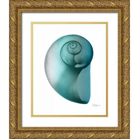 Water Snail 2 Gold Ornate Wood Framed Art Print with Double Matting by Koetsier, Albert