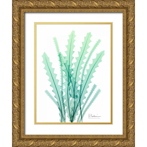 Radiant Banksia Gold Ornate Wood Framed Art Print with Double Matting by Koetsier, Albert