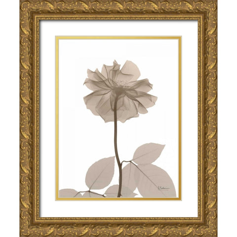 Rose Cream 2 Gold Ornate Wood Framed Art Print with Double Matting by Koetsier, Albert