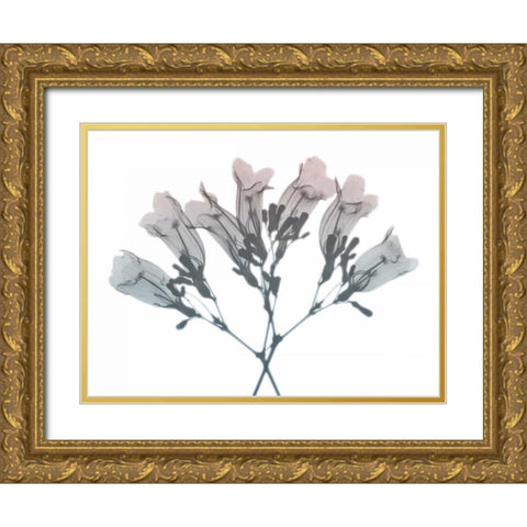 Blooming Jacaranoa 2 Gold Ornate Wood Framed Art Print with Double Matting by Koetsier, Albert