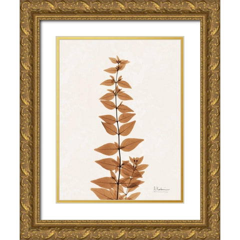 Aged Abelia Gold Ornate Wood Framed Art Print with Double Matting by Koetsier, Albert