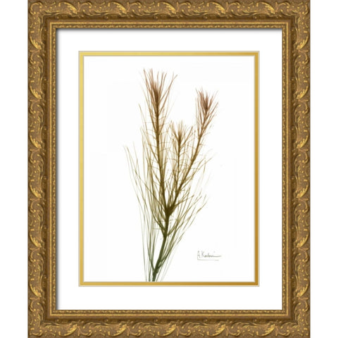 Autumn Botanical Gold Ornate Wood Framed Art Print with Double Matting by Koetsier, Albert