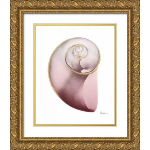 Shimmering Blush Snail 2 Gold Ornate Wood Framed Art Print with Double Matting by Koetsier, Albert