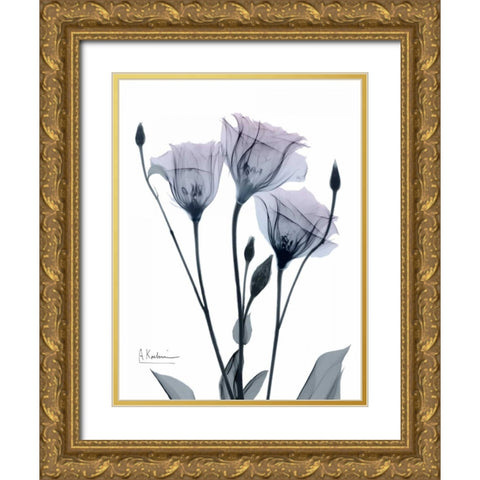 Midnight Gentian 1 Gold Ornate Wood Framed Art Print with Double Matting by Koetsier, Albert