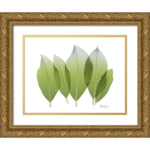 Golden Magnolia Leaf Gold Ornate Wood Framed Art Print with Double Matting by Koetsier, Albert