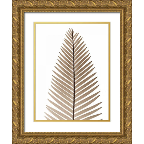 Earthly Fern 2 Gold Ornate Wood Framed Art Print with Double Matting by Koetsier, Albert