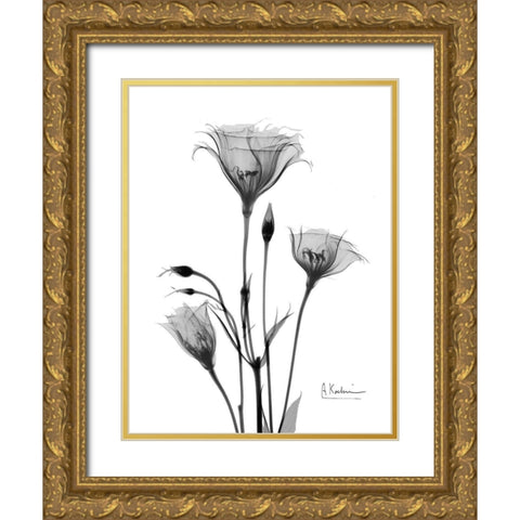 Night Gentian 2 Gold Ornate Wood Framed Art Print with Double Matting by Koetsier, Albert