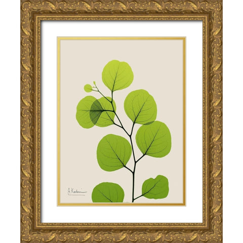 Natural Greenery 3 Gold Ornate Wood Framed Art Print with Double Matting by Koetsier, Albert