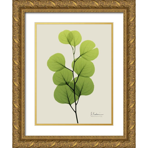 Natural Greenery 4 Gold Ornate Wood Framed Art Print with Double Matting by Koetsier, Albert