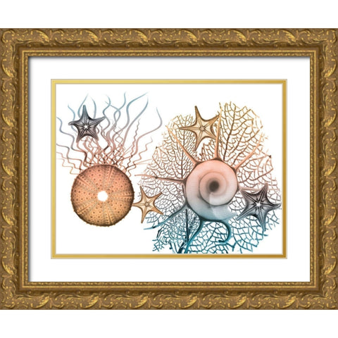 Sea Collective 1 Gold Ornate Wood Framed Art Print with Double Matting by Koetsier, Albert