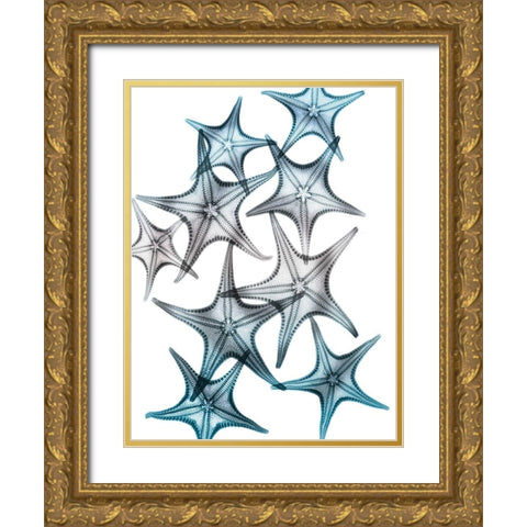 Blue Hue Starfish 2 Gold Ornate Wood Framed Art Print with Double Matting by Koetsier, Albert