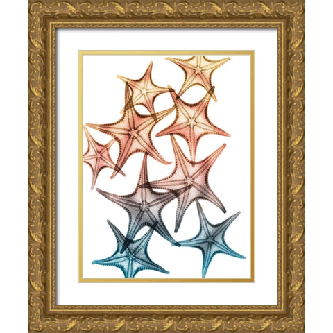 Jolly Starfish 2 Gold Ornate Wood Framed Art Print with Double Matting by Koetsier, Albert