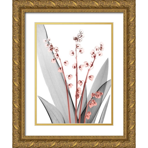 Lily of the Blush 2 Gold Ornate Wood Framed Art Print with Double Matting by Koetsier, Albert