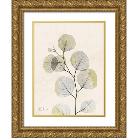 Sunkissed Eucalyptus 3 Gold Ornate Wood Framed Art Print with Double Matting by Koetsier, Albert