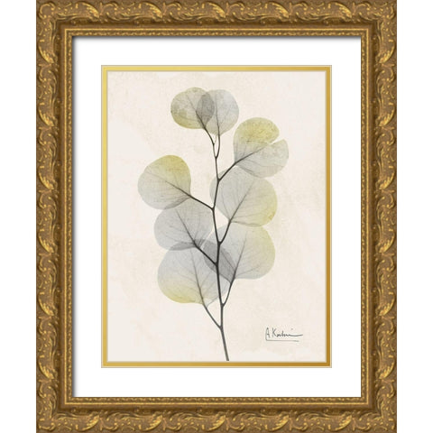 Sunkissed Eucalyptus 4 Gold Ornate Wood Framed Art Print with Double Matting by Koetsier, Albert