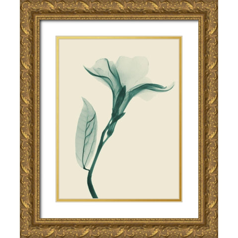 Lucky Oleander 1 Gold Ornate Wood Framed Art Print with Double Matting by Koetsier, Albert