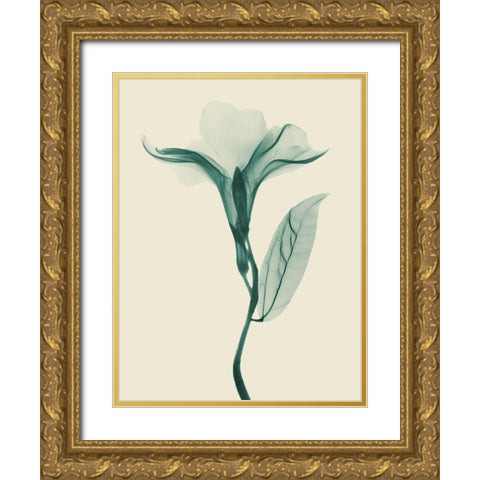 Lucky Oleander 2 Gold Ornate Wood Framed Art Print with Double Matting by Koetsier, Albert