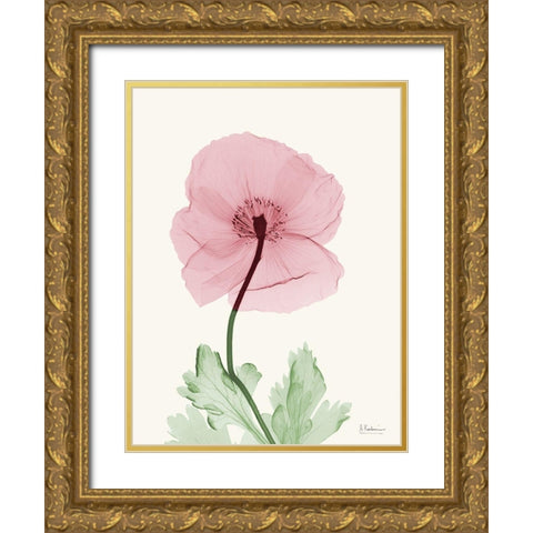 Dazzling Poppy 1 Gold Ornate Wood Framed Art Print with Double Matting by Koetsier, Albert