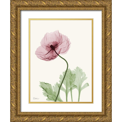 Dazzling Poppy 2 Gold Ornate Wood Framed Art Print with Double Matting by Koetsier, Albert