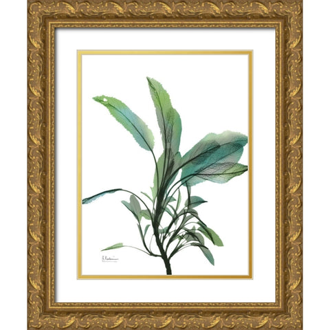 Shimmering Botanical 2 Gold Ornate Wood Framed Art Print with Double Matting by Koetsier, Albert