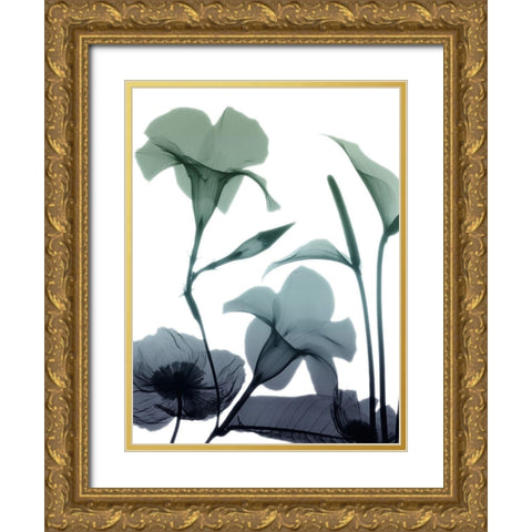 Mystic Bloom 1 Gold Ornate Wood Framed Art Print with Double Matting by Koetsier, Albert