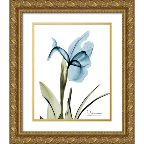 Iris B76 Gold Ornate Wood Framed Art Print with Double Matting by Koetsier, Albert