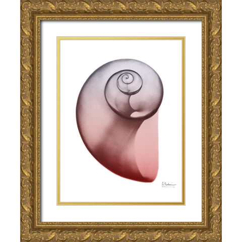 Coral Snail 2 Gold Ornate Wood Framed Art Print with Double Matting by Koetsier, Albert