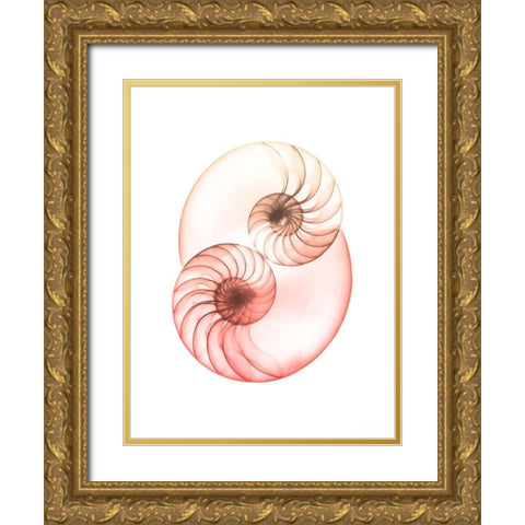 Sunset Shell 1 Gold Ornate Wood Framed Art Print with Double Matting by Koetsier, Albert