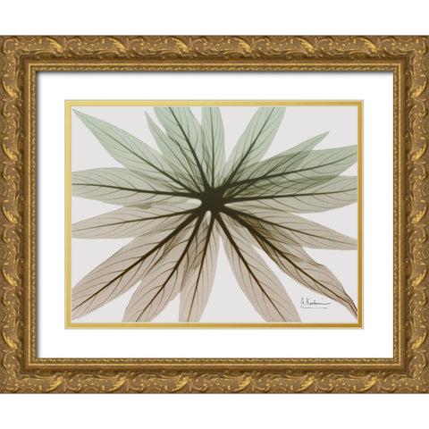 Earthy Echium Gold Ornate Wood Framed Art Print with Double Matting by Koetsier, Albert