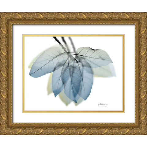 Focused Ficus Burkey Gold Ornate Wood Framed Art Print with Double Matting by Koetsier, Albert