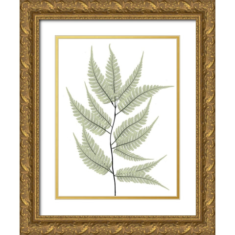 Fern Tree Gold Ornate Wood Framed Art Print with Double Matting by Koetsier, Albert