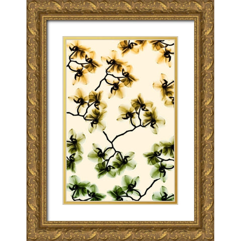 Peeking Foliage 3 Gold Ornate Wood Framed Art Print with Double Matting by Koetsier, Albert