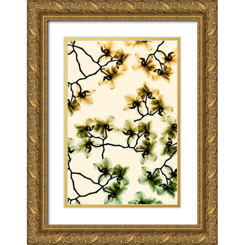 Peeking Foliage 4 Gold Ornate Wood Framed Art Print with Double Matting by Koetsier, Albert