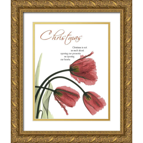 Christmas Tulips 1 Gold Ornate Wood Framed Art Print with Double Matting by Koetsier, Albert