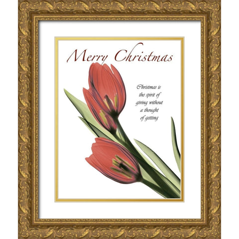 Christmas Tulips 2 Gold Ornate Wood Framed Art Print with Double Matting by Koetsier, Albert