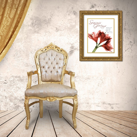 Holiday Amaryllis 1 Gold Ornate Wood Framed Art Print with Double Matting by Koetsier, Albert