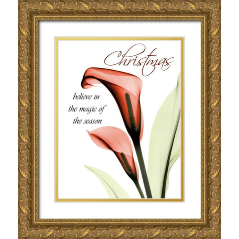 Christmas Calla Lily Gold Ornate Wood Framed Art Print with Double Matting by Koetsier, Albert