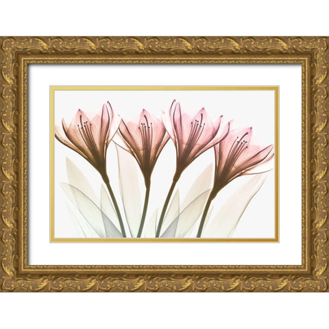 Dazzling Tulips Gold Ornate Wood Framed Art Print with Double Matting by Koetsier, Albert