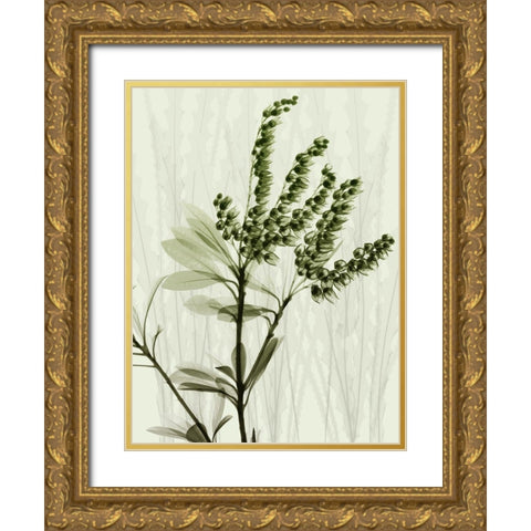 Radiant Greens 2 Gold Ornate Wood Framed Art Print with Double Matting by Koetsier, Albert