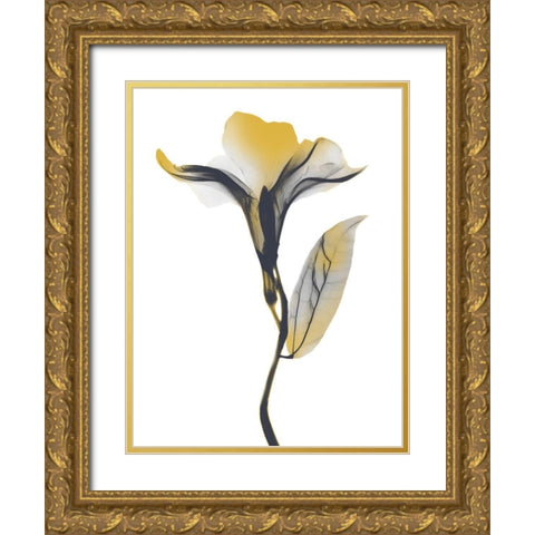 Ombre Sunshine Oleander 1 Gold Ornate Wood Framed Art Print with Double Matting by Koetsier, Albert