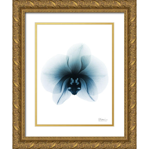 Glacial Orchid 1 RC Gold Ornate Wood Framed Art Print with Double Matting by Koetsier, Albert