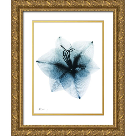 Glacial Amaryllis 1 RC Gold Ornate Wood Framed Art Print with Double Matting by Koetsier, Albert