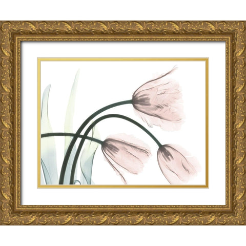 Refreshing Bloomed 1 Gold Ornate Wood Framed Art Print with Double Matting by Koetsier, Albert